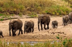 4-day group tour to tarangire, serengeti, ngorongoro Arusha