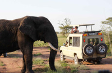 4 days tanzania adventure safari Arusha