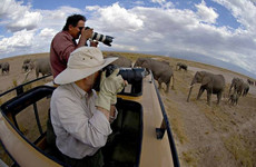 6 daysTanzania Affordable Safari Arusha