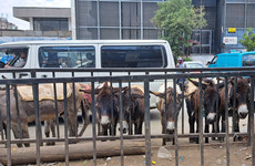 Addis ababa snapshot: half city exploration Addis Ababa