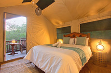African adventour - its all about the safari Johannesburg