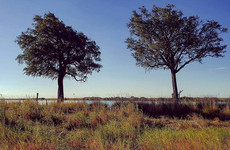 Afro-Trek Maun
