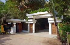 Amigo Bay Cap Skirring