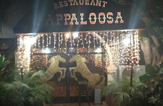 Appaloosa Bamako