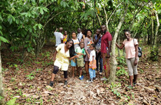 Au cœur de la filière cacao Grand Bassam