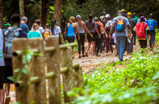 Balade dans la forêt du parc national banco Abidjan