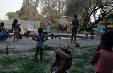 Big tree beach Maun