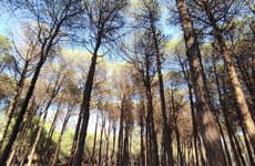 Bouchaoui Park Alger