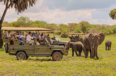 Day trip - selous day safari tour Dar es Salaam