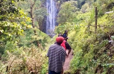 Day trip to materuni waterfall and coffee tour Moshi