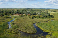 Desert & Delta Safaris Maun