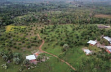 Diatoula – Les Terres Douces Yamoussoukro