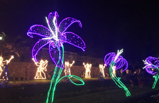 Durban Botanic Gardens Durban
