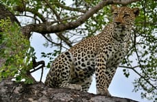 Easy Time Lodge Sabi