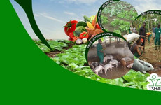 Ferme Pédagogique Tshanfeto Abidjan