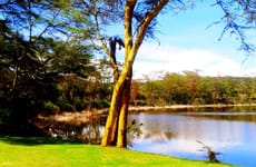 Fish Eagle Inn Naivasha