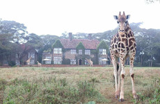 Giraffe manor Nairobi