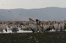 Go exotic places adventure tours with best prices. Nairobi
