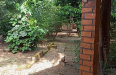 Hotel le Comoe Banfora