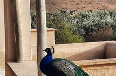 Jnane Tihihit Marrakech