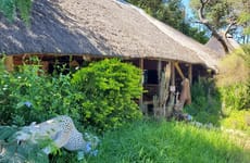 Kgogomodumo Lodge, Kanye Kanye