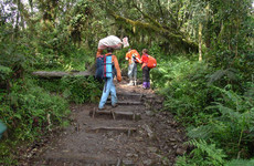 Kilimanjaro 1 day short hike Arusha