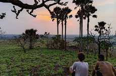 La réserve de Abokouamekro Yamoussoukro