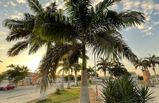 Largo Part Benguela