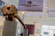 Le Musée des Civilisations Abidjan