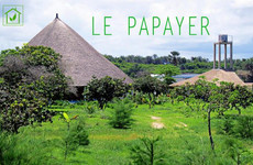 Le papayer ecolodge Cap Skirring