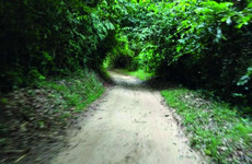 Le parc national du banco Abidjan