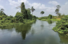 Le refuge du Bandama Tiassale