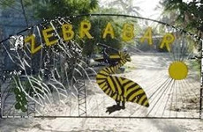 Le Zebrabar Saint Louis