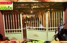 Loving Food Cotonou
