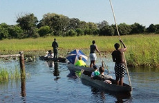 Mokoro full day trip Maun