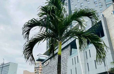 Noom Hôtel Abidjan Plateau Abidjan