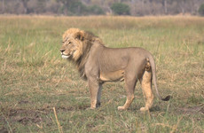 Okavango delta adventure trip Maun
