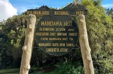 Open season day trip to mount kilimanjaro Moshi