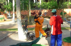 Parc Animalier Dipi Assinie