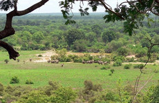 Parc national de taï Abidjan