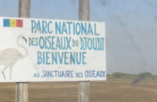 Parc national des oiseaux de Djoudj Saint Louis