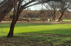 Pomegranite Golf Resort & Spa Francistown