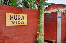 Pura Vida Café Cotonou