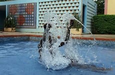 RAN Hotel Somketa Bobo-Dioulasso