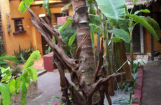 Residence Mamikan Abidjan