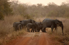 Deux jours de safari au bénin Djougou