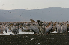 Guided small group kenya adventure wildlife safaris. Nairobi
