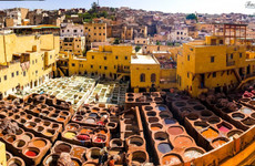 Tanneries Chouara Fes