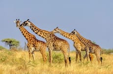 8 day tanzania private adventure safari Arusha