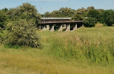 Thamalakane River Maun